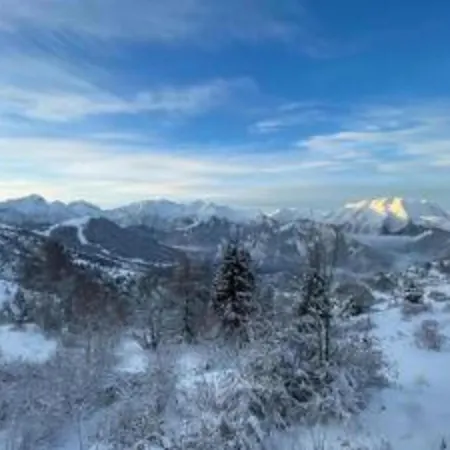 Spacious Mountain For 14