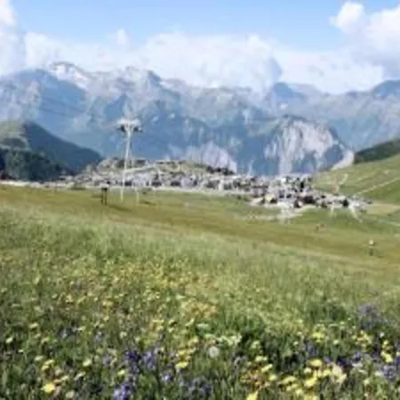 Spacious Mountain For 14 Huez